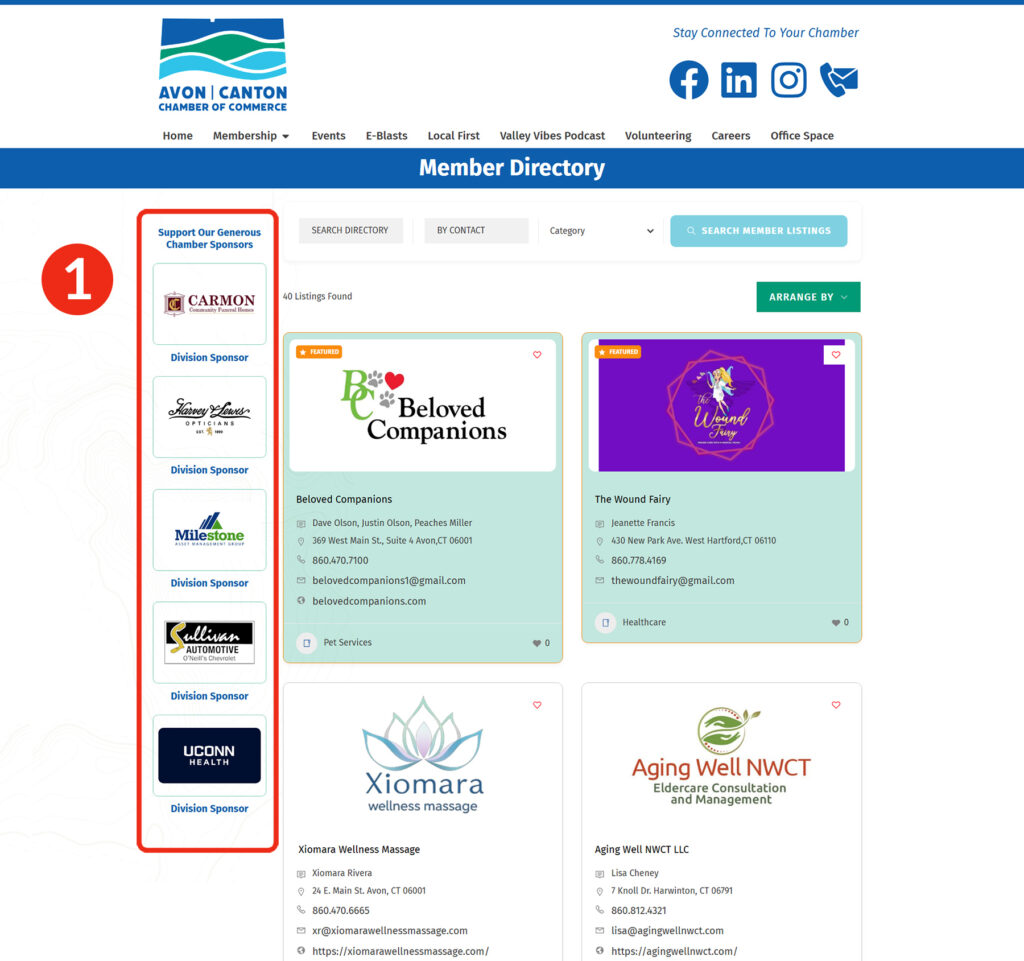 Division Sponsor 1